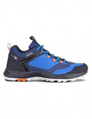 Blue Men Icepeak Adour Outdoor Hiking Shoes | USA-TFH410629