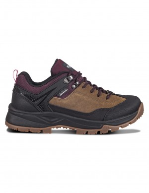 Brown / Black Women Icepeak Abai Low-cut Hiking Shoes | USA-CRT329104