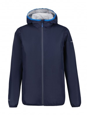 Dark Blue Men Icepeak Broadlands Jacket | USA-KVT645083