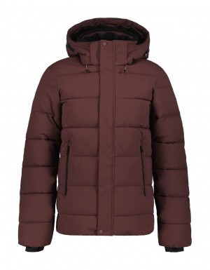 Dark Brown Men Icepeak Bixby Winter Jacket | USA-UHK645397