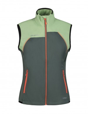 Olive Women Icepeak Branson Vest | USA-LOC641238