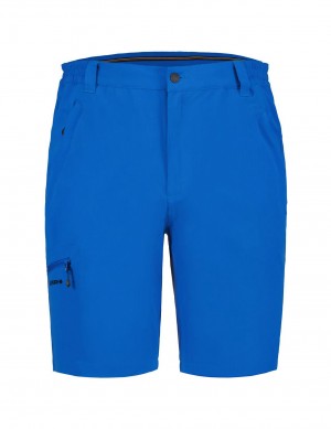 Royal Blue Men Icepeak Berwyn Stretchy Outdoor Shorts | USA-QVP302185