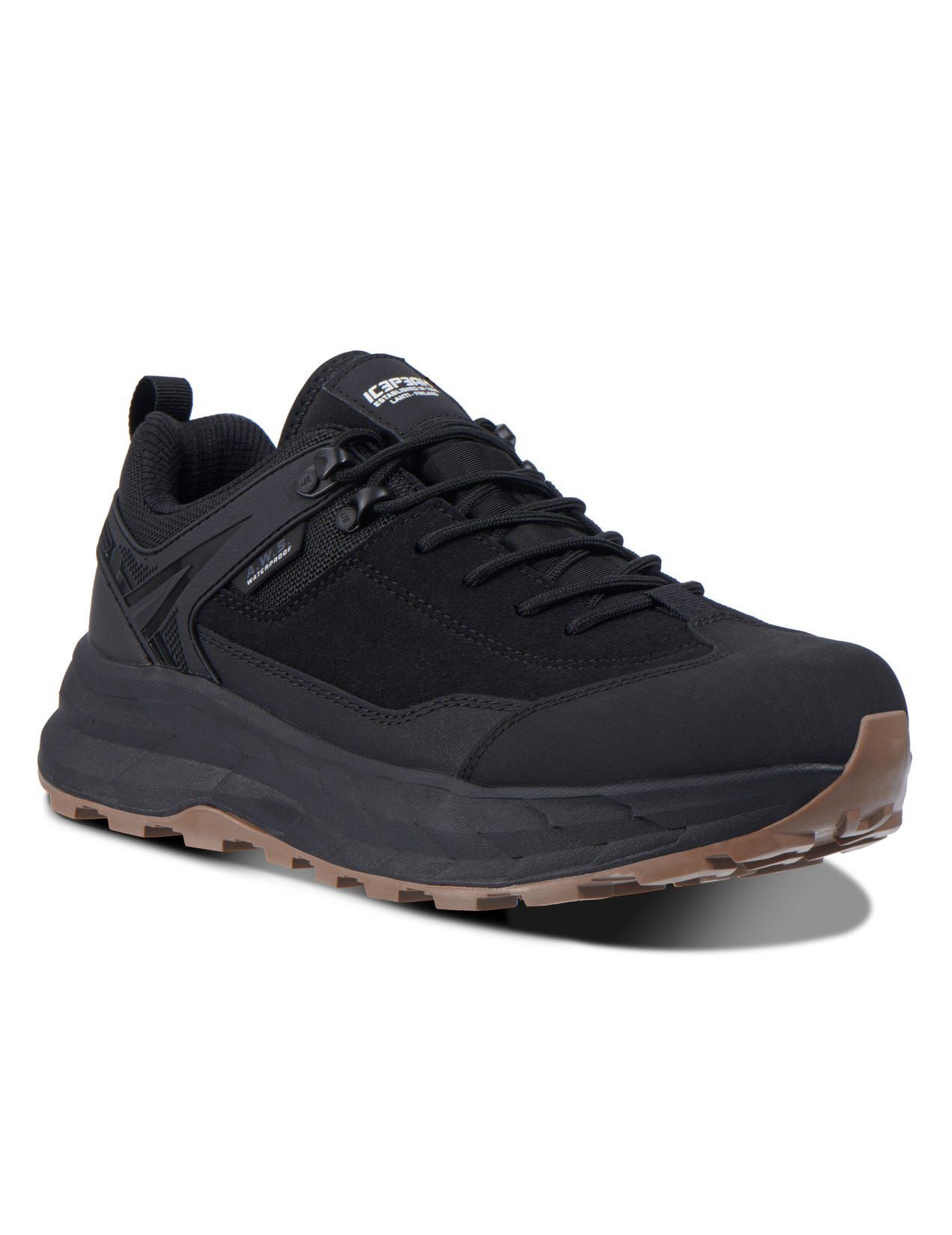 Black Men Icepeak Ackas Low-cut Hiking Shoes | USA-HKT290816