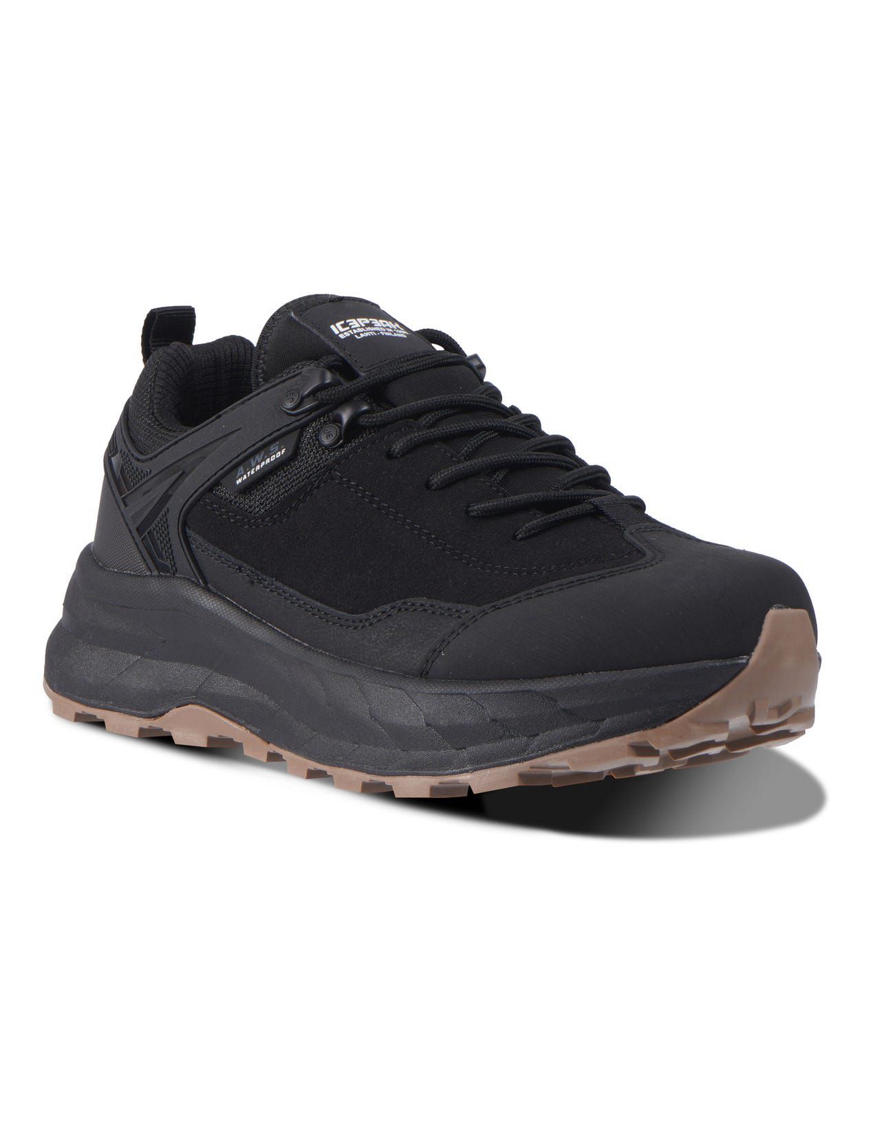 Black Women Icepeak Ackas Low-cut Hiking Shoes | USA-GQX106528