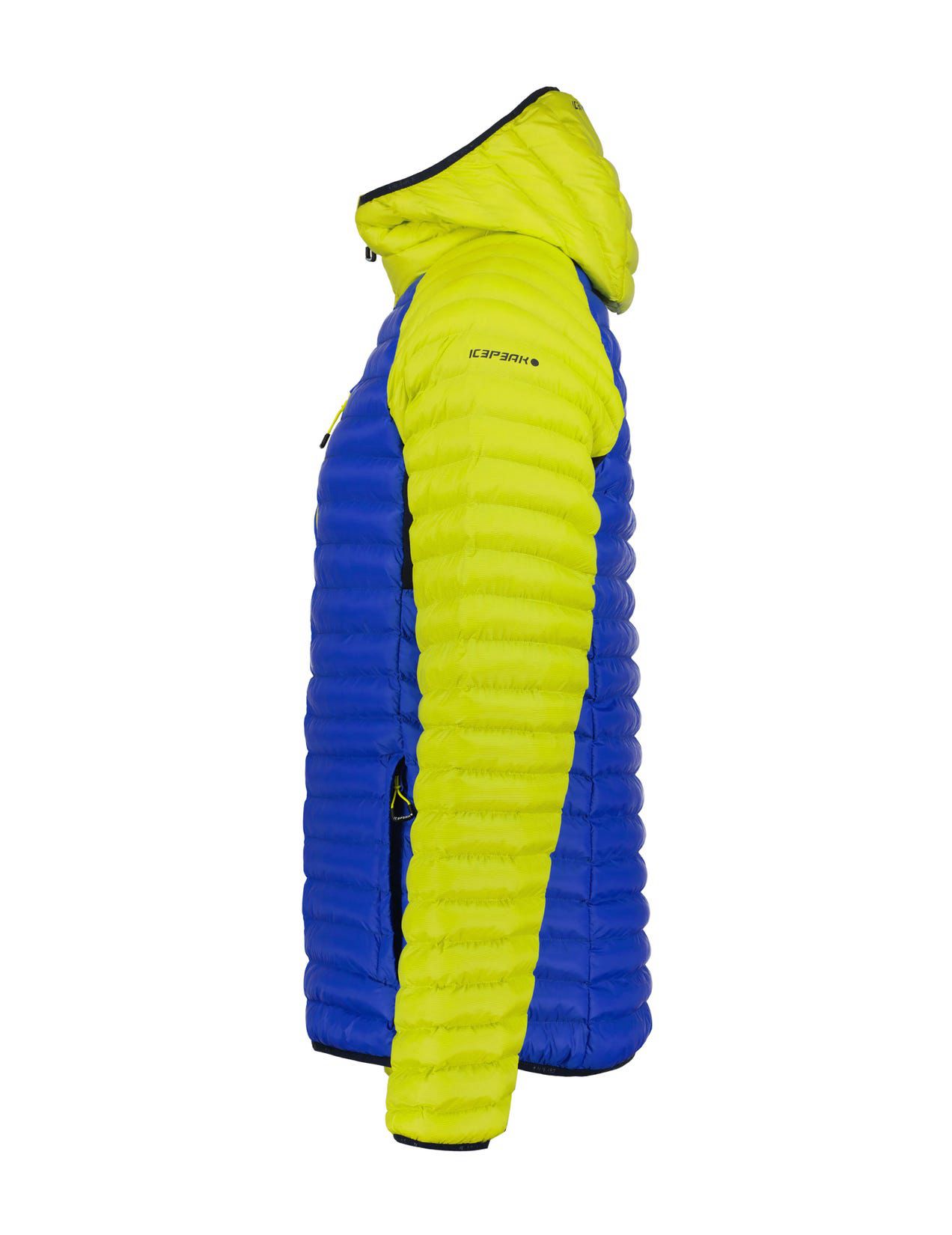 Blue / Green Men Icepeak Dillon Winter Jacket | USA-LQK713408