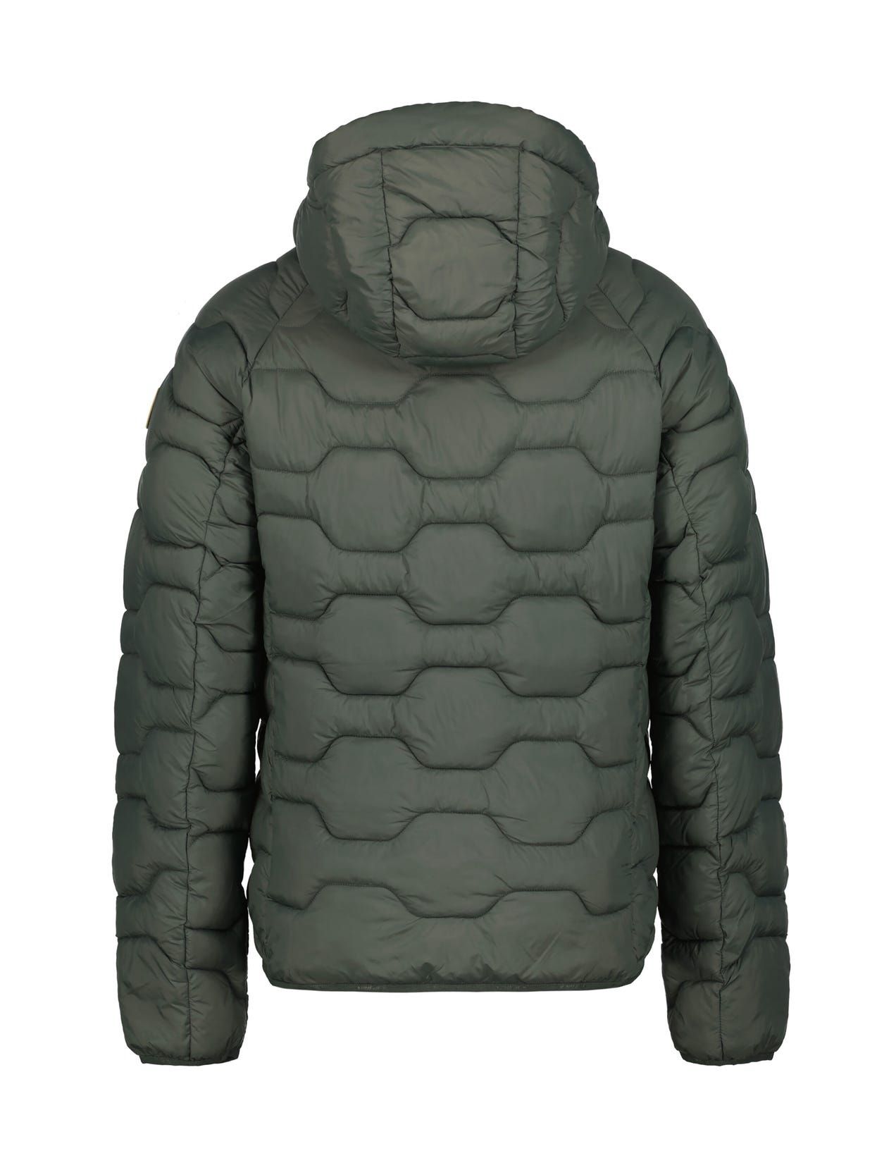 Dark Green Men Icepeak Branch Winter Jacket | USA-CPR014892