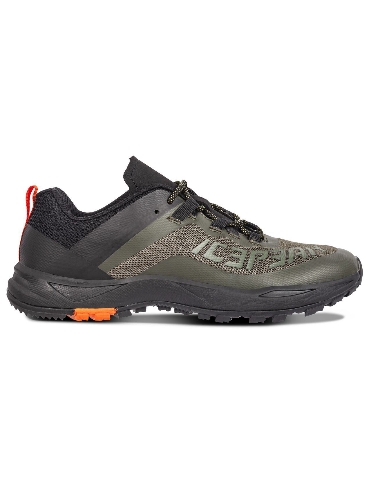 Olive Men Icepeak Aigio Hiking Shoes | USA-PCA954817