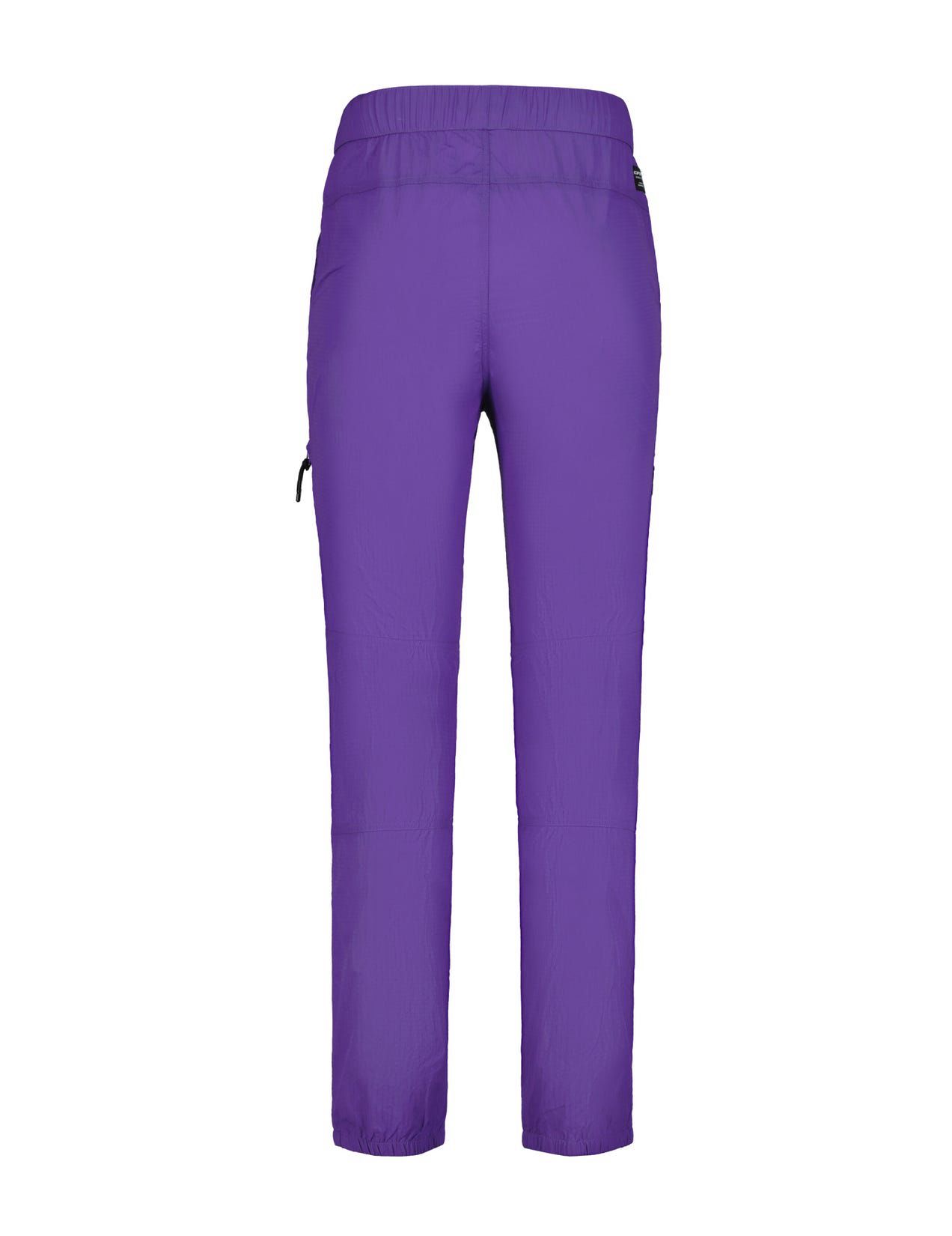 Purple Men Icepeak Atlan Pants | USA-DKL498207