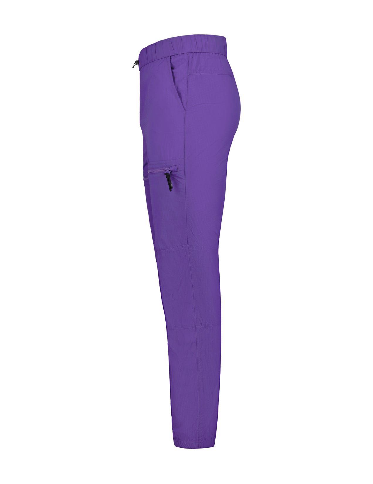 Purple Men Icepeak Atlan Pants | USA-DKL498207