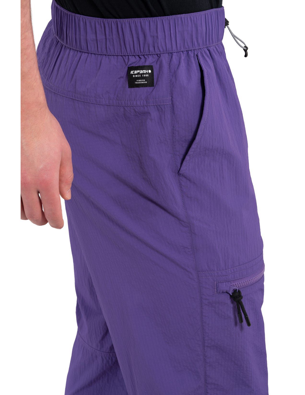 Purple Men Icepeak Atlan Pants | USA-DKL498207