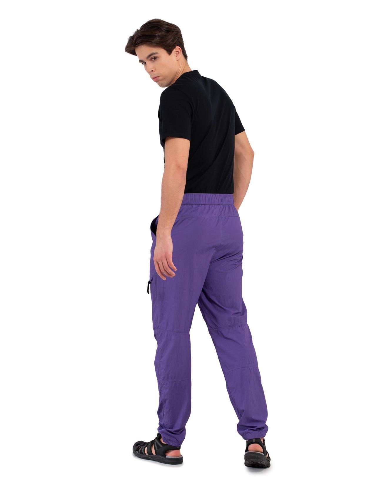 Purple Men Icepeak Atlan Pants | USA-DKL498207