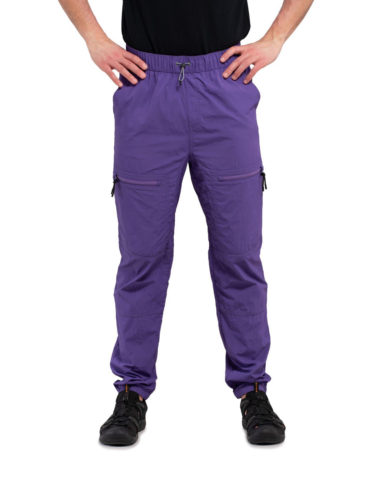 Purple Men Icepeak Atlan Pants | USA-DKL498207