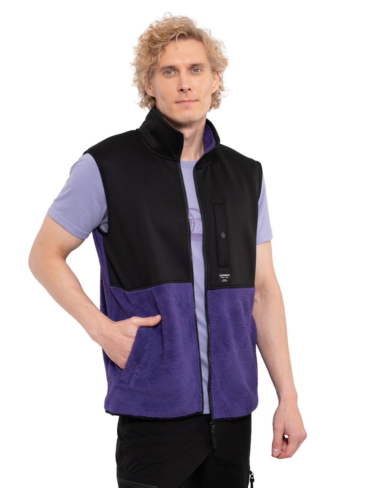 Purple / Black Men Icepeak Alger Midlayer Vest | USA-TVW479038