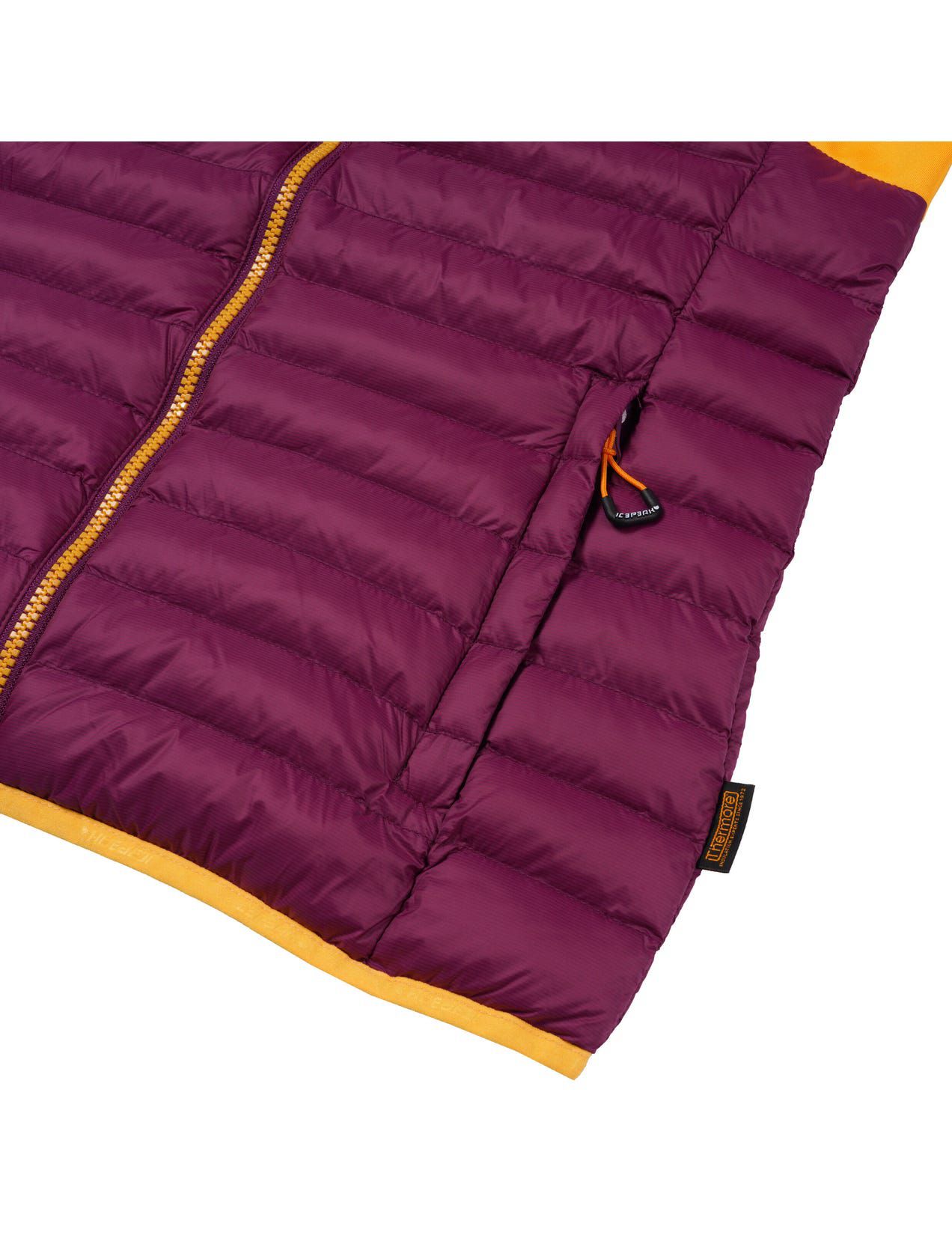 Purple / Orange Women Icepeak Dix Winter Jacket | USA-NKD824631